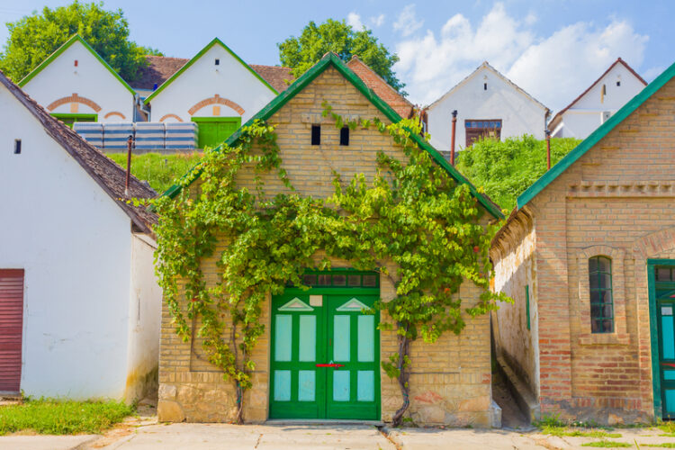 hungarian wine cellars