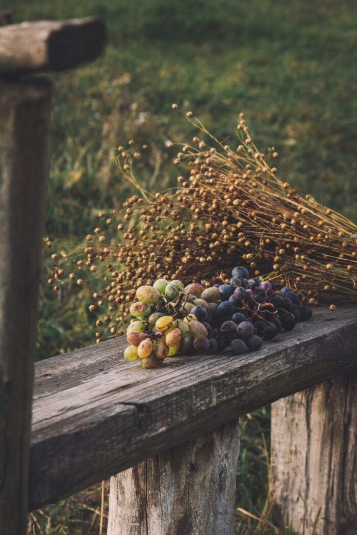 red and white grape on bench