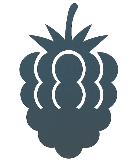 blackberry icon