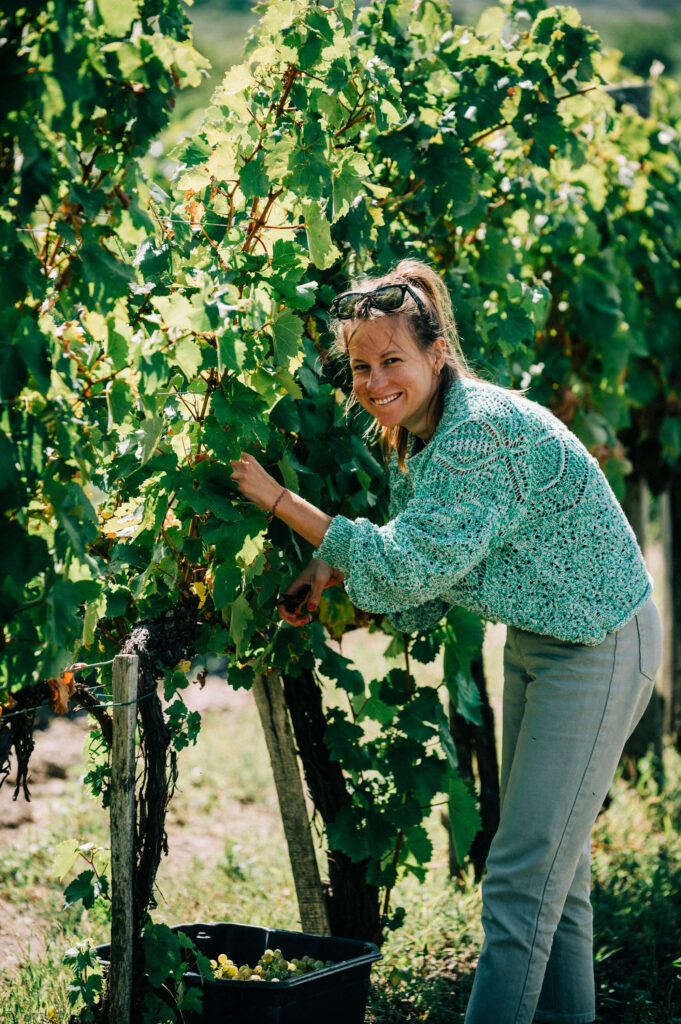 Homokí Dorka, winemaker